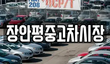 서울 성동구 옥수동 중고차 전문 장안평중고차시장