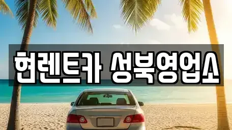 서울 성북구 동선동3가 렌트카 전문 현렌트카 성북영업소