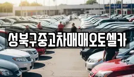 서울 성북구 동선동3가 중고차매매 전문 성북구중고차매매오토셀카