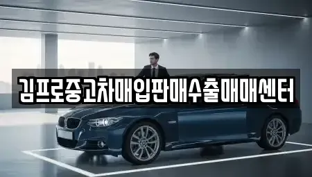 서울 성북구 동선동3가 중고차매입 전문 김프로중고차매입판매수출매매센터