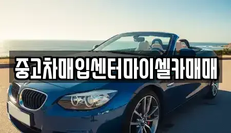 서울 성북구 동선동3가 중고차매입 전문 중고차매입센터마이셀카매매