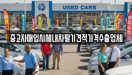 서울 성북구 동선동3가 중고차매입 전문 중고차매입시세내차팔기견적가격수출업체