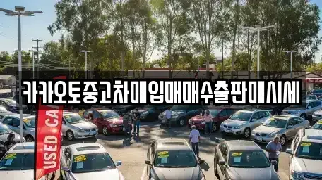 서울 성북구 동선동3가 중고차매입 전문 카카오토중고차매입매매수출판매시세