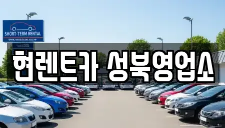 서울 성북구 보문동2가 렌트카 전문 현렌트카 성북영업소