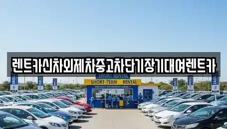 서울 성북구 보문동2가 장기렌트카 전문 렌트카신차외제차중고차단기장기대여렌트카