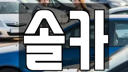 서울 성북구 보문동2가 중고차 전문 솔카