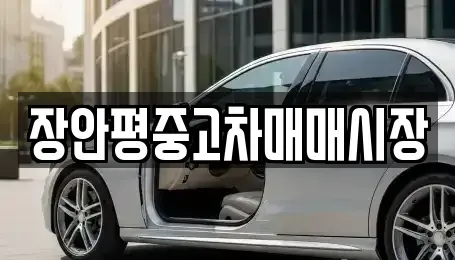 서울 성북구 보문동2가 중고차 전문 장안평중고차매매시장
