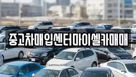 서울 성북구 보문동2가 중고차매입 전문 중고차매입센터마이셀카매매