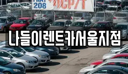 서울 성북구 보문동6가 렌트카 전문 나들이렌트카서울지점