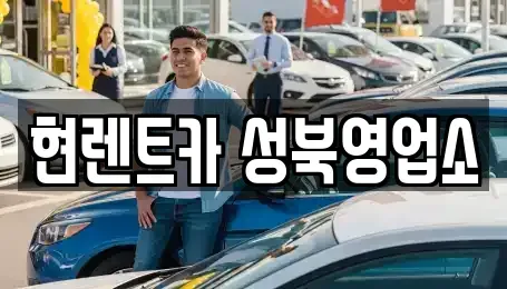 서울 성북구 보문동6가 렌트카 전문 현렌트카 성북영업소
