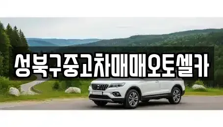 서울 성북구 보문동6가 중고차매매 전문 성북구중고차매매오토셀카