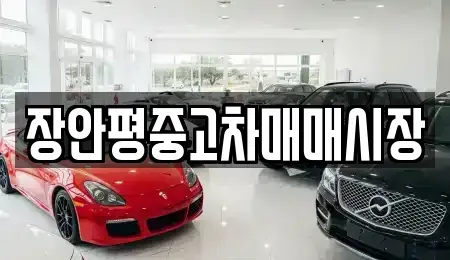 서울 성북구 보문동6가 중고차매매 전문 장안평중고차매매시장