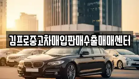 서울 성북구 보문동6가 중고차매입 전문 김프로중고차매입판매수출매매센터