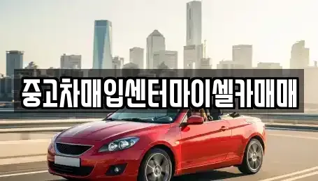 서울 성북구 보문동6가 중고차매입 전문 중고차매입센터마이셀카매매