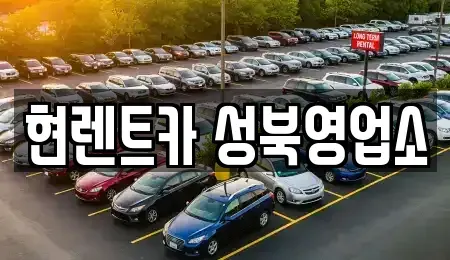 서울 성북구 삼선동1가 렌트카 전문 현렌트카 성북영업소