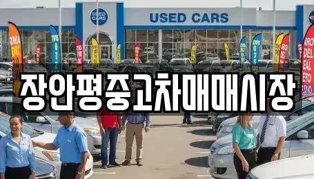 서울 성북구 삼선동1가 중고차 전문 장안평중고차매매시장