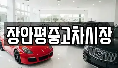 서울 성북구 삼선동1가 중고차 전문 장안평중고차시장