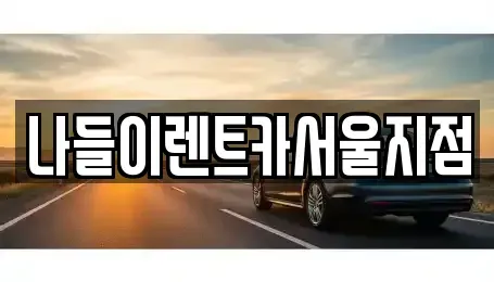 서울 성북구 안암동2가 렌트카 전문 나들이렌트카서울지점