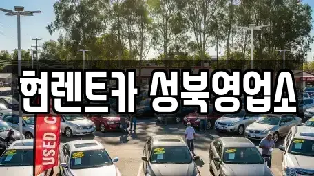 서울 성북구 안암동2가 렌트카 전문 현렌트카 성북영업소
