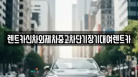 서울 성북구 안암동2가 장기렌트카 전문 렌트카신차외제차중고차단기장기대여렌트카