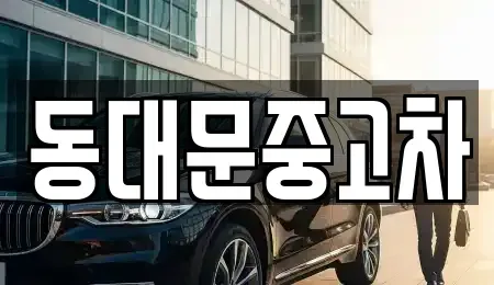 서울 성북구 안암동2가 중고차 전문 동대문중고차