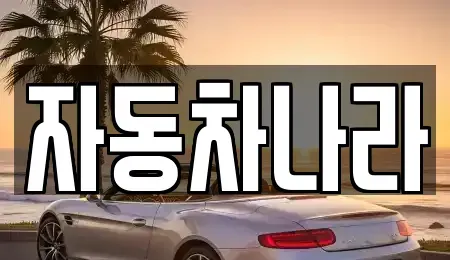 서울 성북구 안암동2가 중고차 전문 자동차나라