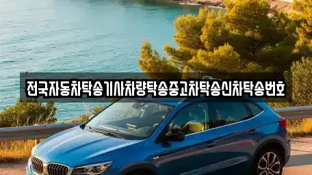 서울 성북구 안암동2가 중고차 전문 전국자동차탁송기사차량탁송중고차탁송신차탁송번호