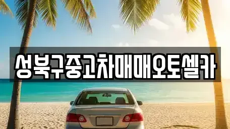 서울 성북구 안암동2가 중고차매매 전문 성북구중고차매매오토셀카