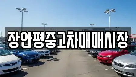 서울 성북구 안암동2가 중고차매매 전문 장안평중고차매매시장