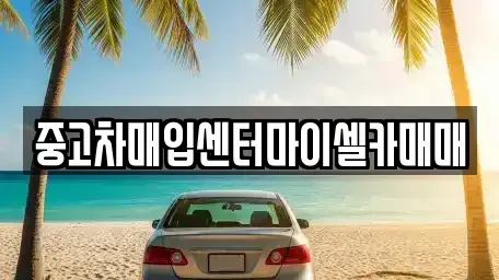 서울 성북구 안암동2가 중고차매입 전문 중고차매입센터마이셀카매매