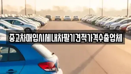 서울 성북구 안암동2가 중고차매입 전문 중고차매입시세내차팔기견적가격수출업체