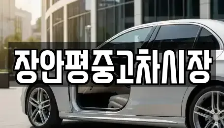 서울 용산구 동자동 중고차 전문 장안평중고차시장