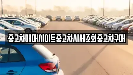 서울 용산구 동자동 중고차 전문 중고차매매사이트중고차시세조회중고차구매