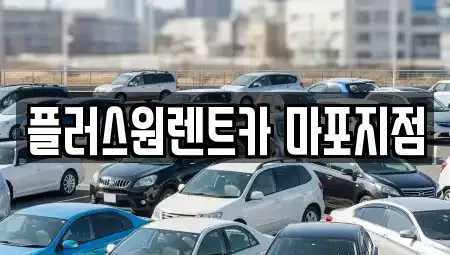 서울 용산구 원효로4가 렌트카 전문 플러스원렌트카 마포지점
