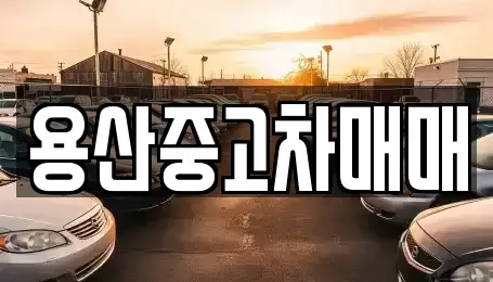 서울 용산구 원효로4가 중고차매매 전문 용산중고차매매