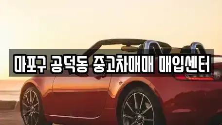 서울 용산구 원효로4가 중고차매입 전문 마포구 공덕동 중고차매매 매입센터