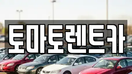 서울 용산구 이촌동 렌트카 전문 토마토렌트카