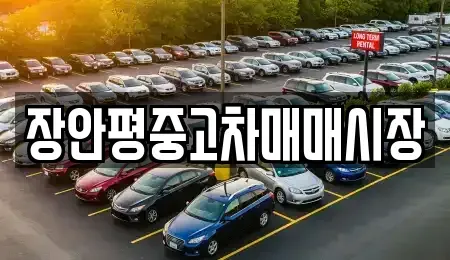 서울 용산구 이촌동 중고차 전문 장안평중고차매매시장