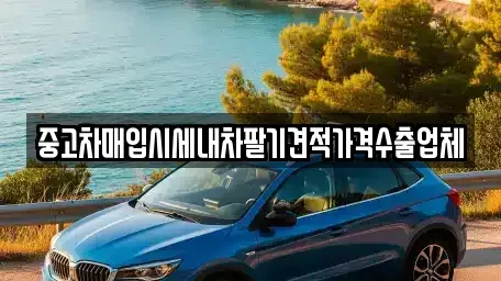 서울 용산구 이촌동 중고차 전문 중고차매입시세내차팔기견적가격수출업체