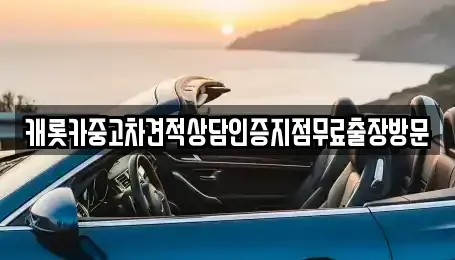 서울 용산구 이촌동 중고차 전문 캐롯카중고차견적상담인증지점무료출장방문