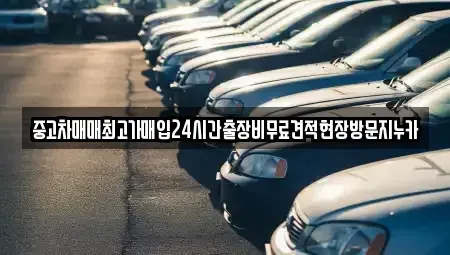 서울 용산구 이촌동 중고차매입 전문 중고차매매최고가매입24시간출장비무료견적현장방문지누카