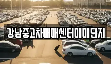 서울 용산구 한강로2가 중고차매매 전문 강남중고차매매센터매매단지