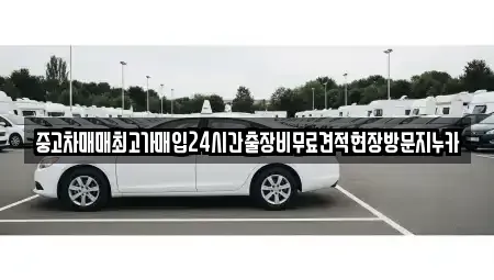 서울 용산구 한강로2가 중고차매입 전문 중고차매매최고가매입24시간출장비무료견적현장방문지누카