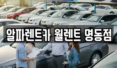 서울 종로구 경운동 렌트카 전문 알파렌트카 월렌트 명동점