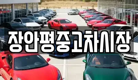 서울 종로구 경운동 중고차 전문 장안평중고차시장