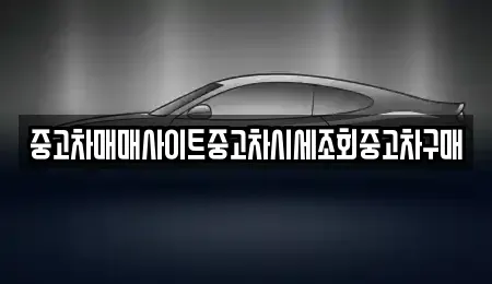 서울 종로구 경운동 중고차매매 전문 중고차매매사이트중고차시세조회중고차구매