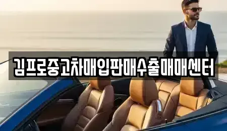 서울 종로구 권농동 중고차매매 전문 김프로중고차매입판매수출매매센터