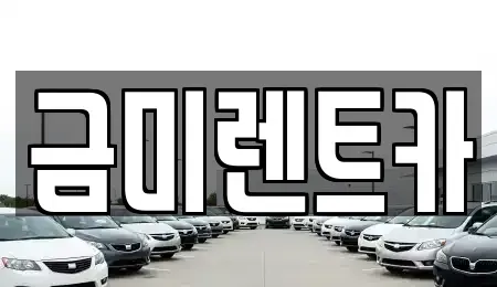 서울 종로구 낙원동 렌트카 전문 금미렌트카