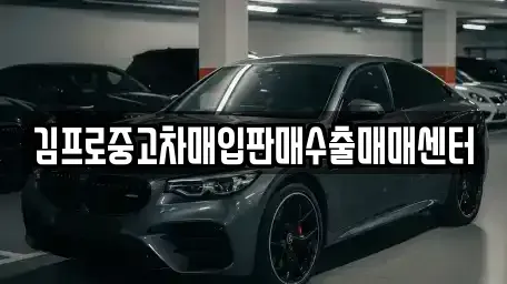 서울 종로구 낙원동 중고차,렌트카,중고차매입,중고차매매,장기렌트카,단기렌트카