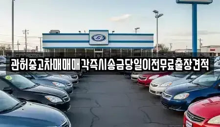 서울 중구 정동 중고차매매,단기렌트카,중고차매입,장기렌트카,중고차,렌트카